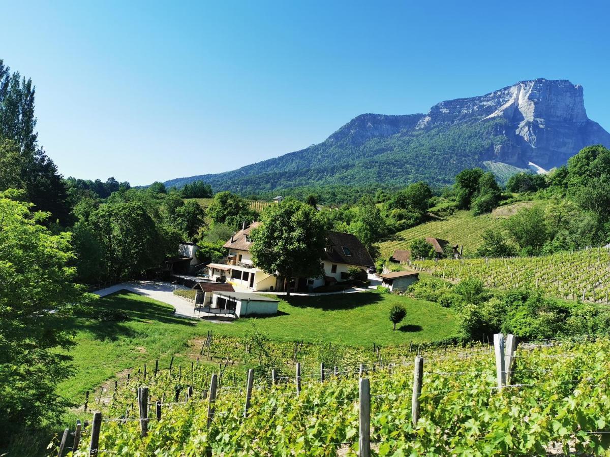 L'Etang De La Tourne Bed & Breakfast Les Marches Dış mekan fotoğraf