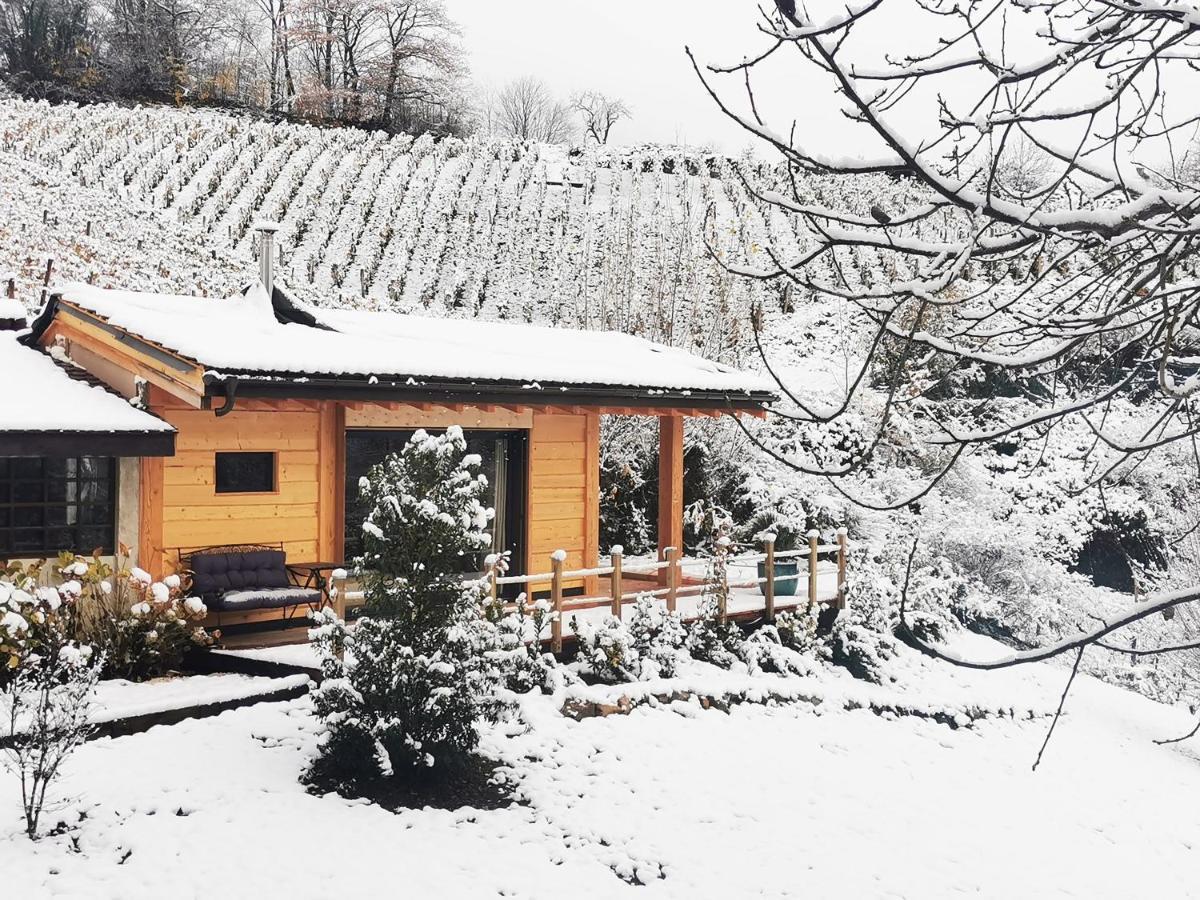 L'Etang De La Tourne Bed & Breakfast Les Marches Dış mekan fotoğraf
